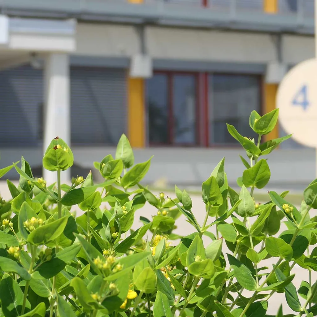 Schule aindling 3 1024