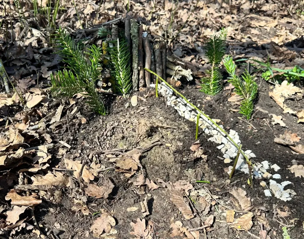 Landart image