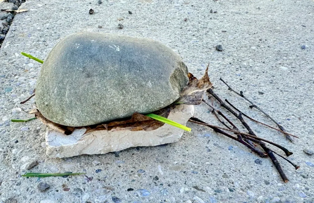 Landart image