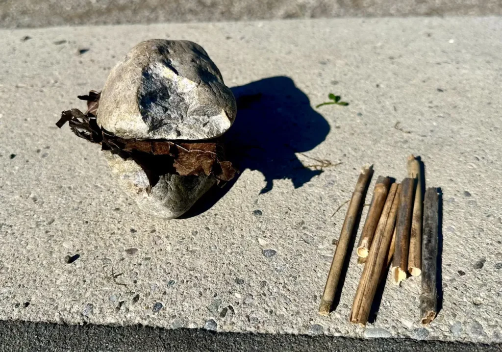 Landart image