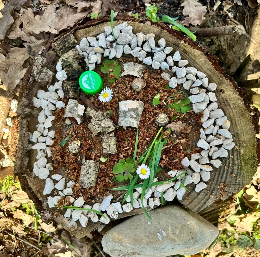 Landart image