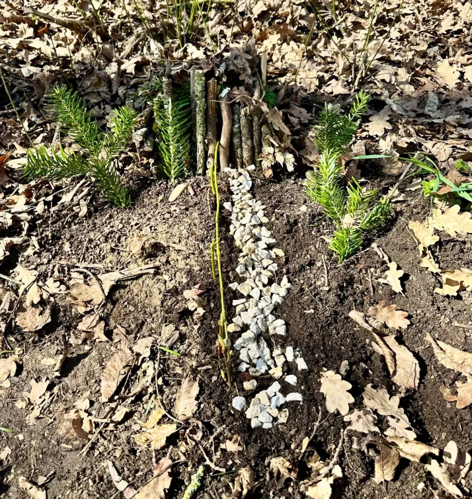 Landart image